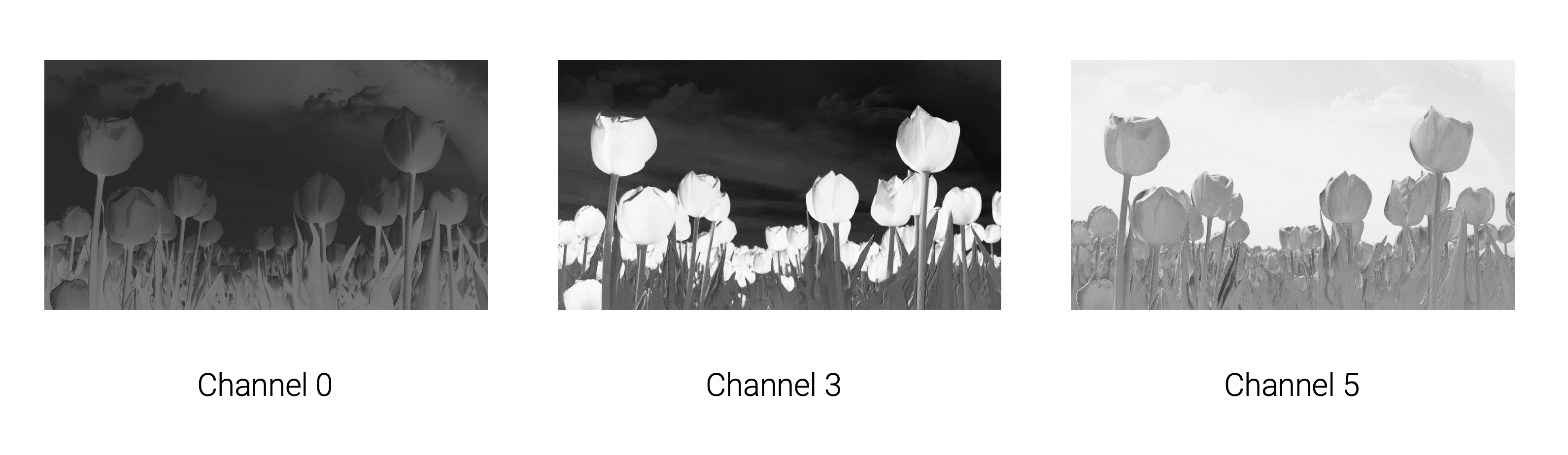 Intermediate representation channels 0, 3, 5